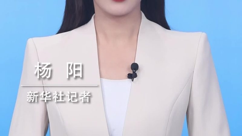 开源搜索引擎的架构复杂度解析